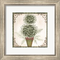 Framed Topiary IV