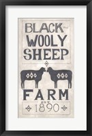 Framed Black Wooly Sheep