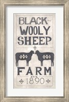 Framed Black Wooly Sheep