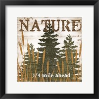 Nature Framed Print