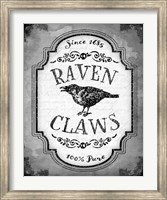 Framed Raven Claws
