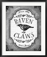 Framed Raven Claws