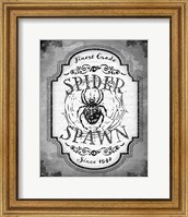 Framed Spider Spawn
