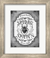 Framed Spider Spawn