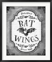 Framed Bat Wings