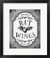 Framed Bat Wings