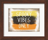 Framed Spooky Vibes Only