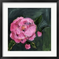 Framed Romantic Floral I