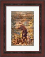Framed Majestic Moose