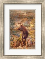 Framed Majestic Moose
