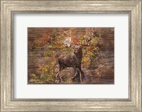 Framed Moose Meadow