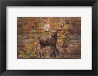 Framed Moose Meadow