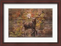 Framed Moose Meadow