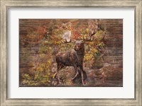 Framed Moose Meadow