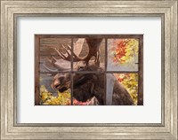 Framed There's a Moose at the Window