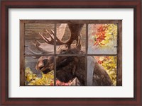 Framed There's a Moose at the Window