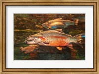 Framed Good Day to Be a Salmon