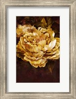 Framed Floral