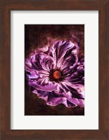 Framed Royal Purple
