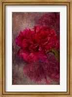 Framed Tapestry Rose