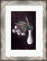 Framed Droopy Tulips