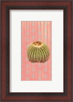 Framed Barrel Cactus