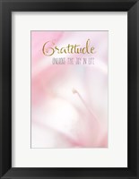 Framed Gratitude Unlocks the Joy