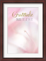 Framed Gratitude Unlocks the Joy