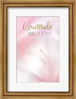 Framed Gratitude Unlocks the Joy