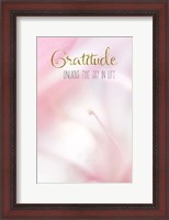 Framed Gratitude Unlocks the Joy