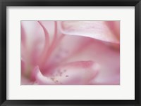 Fairy Land II Framed Print