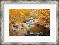 Framed Fall Creek