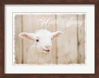 Framed Hello Spring Lamb