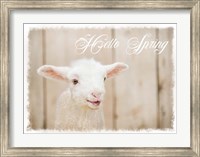 Framed Hello Spring Lamb