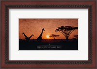 Framed Vintage Sunset with Giraffes in Serengeti National Park, Africa