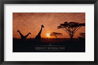 Framed Vintage Sunset with Giraffes in Serengeti National Park, Africa