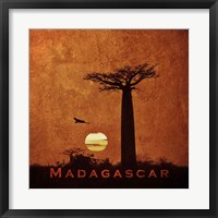 Framed Vintage Baobab Trees at Sunset in Madagascar, Africa