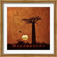 Framed Vintage Baobab Trees at Sunset in Madagascar, Africa
