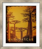 Framed Vintage Baobab Trees in Madagascar, Africa