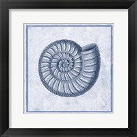 Framed Blue Nautilus A