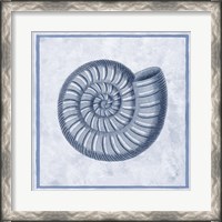 Framed Blue Nautilus A