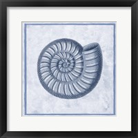 Framed Blue Nautilus A