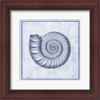 Framed Blue Nautilus B