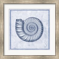 Framed Blue Nautilus B