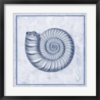 Framed Blue Nautilus B
