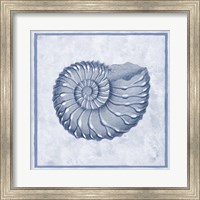 Framed Blue Nautilus C