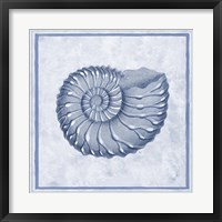 Framed Blue Nautilus C