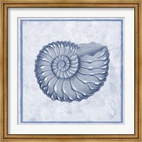 Framed Blue Nautilus C