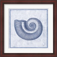 Framed Blue Nautilus D