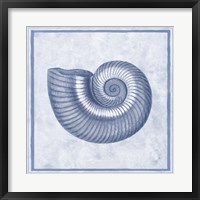 Framed Blue Nautilus D